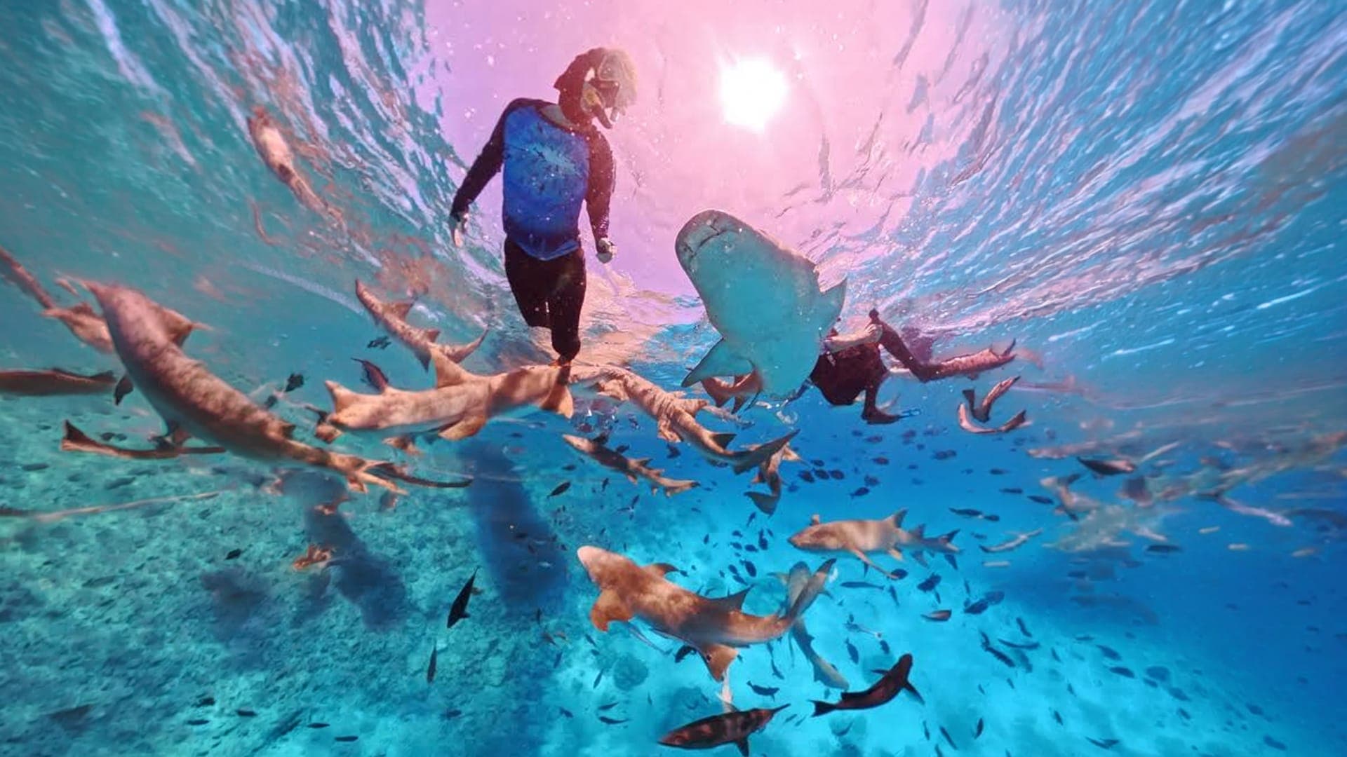 Full Day tour in Maafushi, Maldives