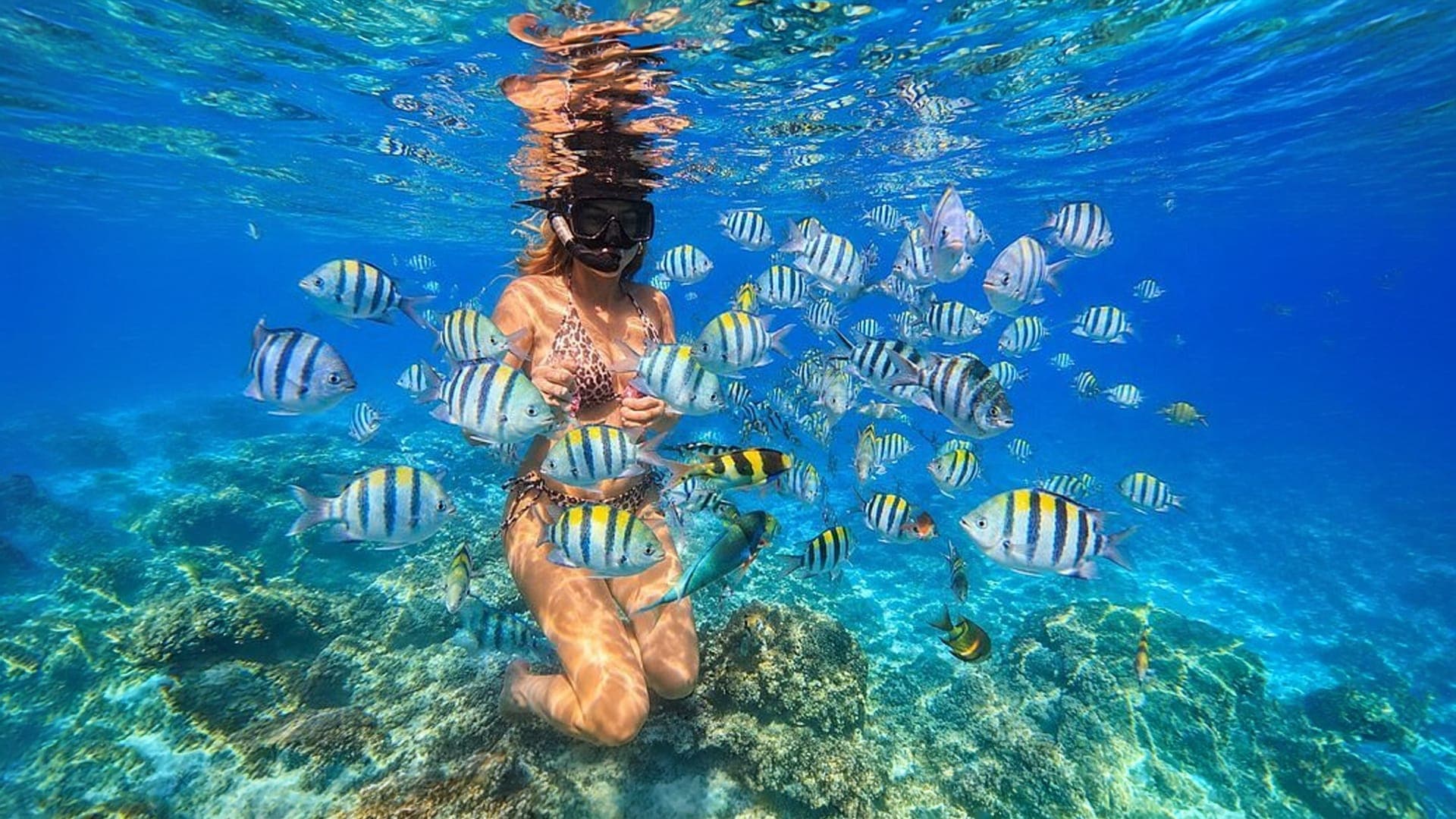 Half Day tour in Maafushi, Maldives