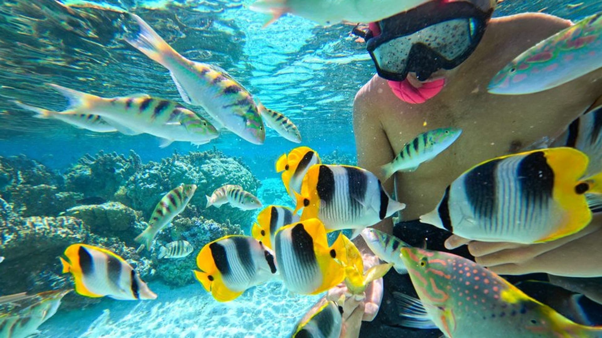 Half Day tour in Maafushi, Maldives