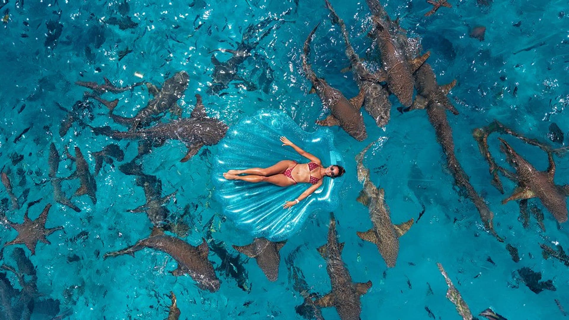 Full Day tour in Maafushi, Maldives
